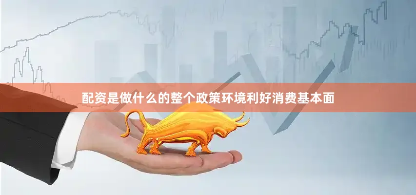 配资是做什么的整个政策环境利好消费基本面