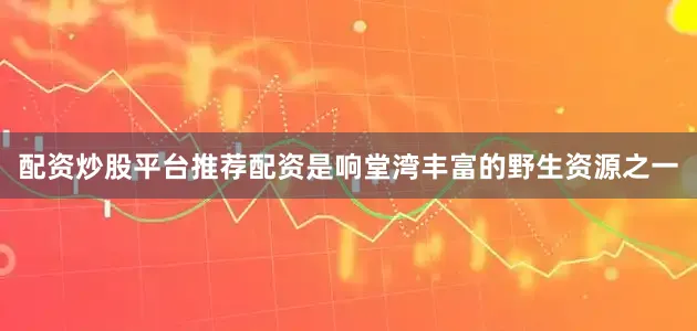 配资炒股平台推荐配资是响堂湾丰富的野生资源之一
