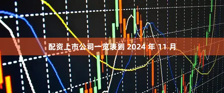 配资上市公司一览表到 2024 年 11 月