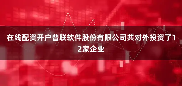 在线配资开户普联软件股份有限公司共对外投资了12家企业
